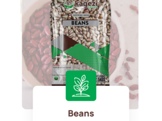 Kagezi Lungwebungu Beans