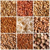 Close-up texture made of various natural cereals grains or groats for background